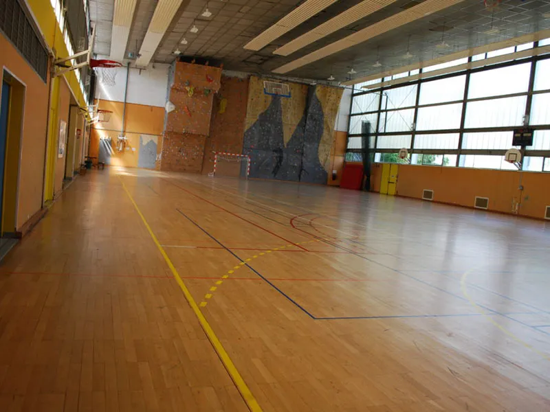 Entraînement ultimate frisbee le jeudi indoor à Limoges